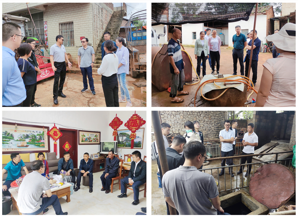 1629378198231726.jpg 調(diào)研拼圖.jpg