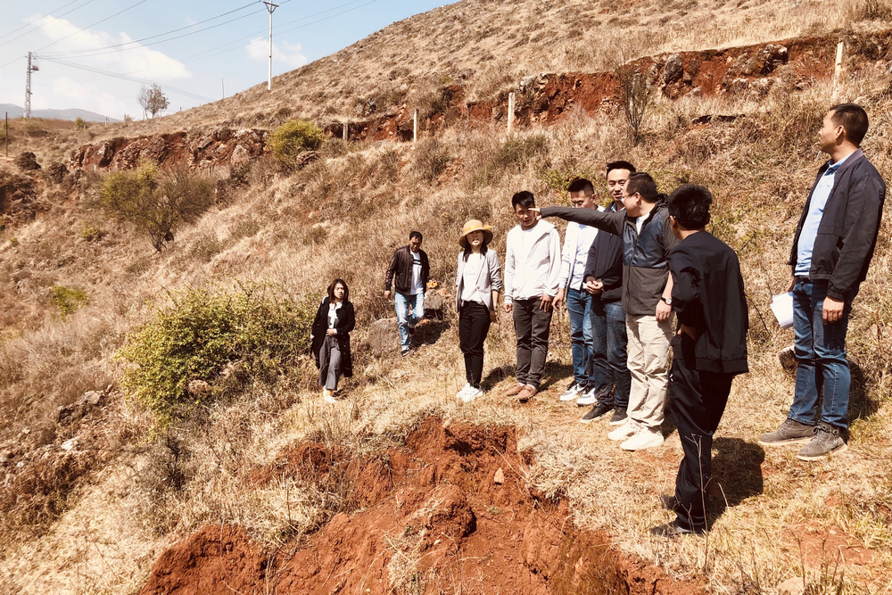 1647565898900913.jpg 1.jpg